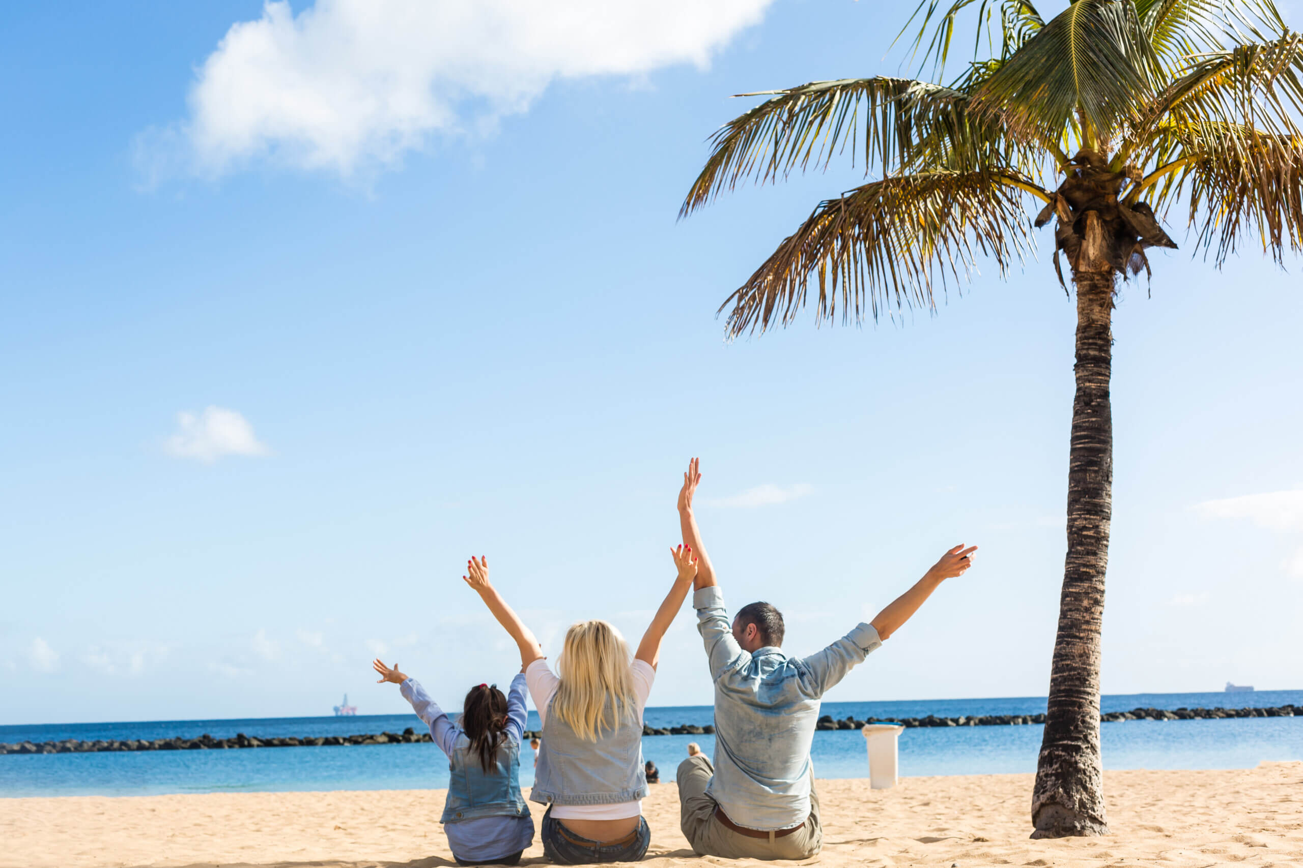beautiful family on a tropical beach with palm tree during summer vacation Durchdenken aller Risiken, Vorteile und Kosten.